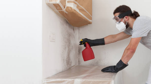 Professional Commercial Mold Remediation technician working in Gowen, MI